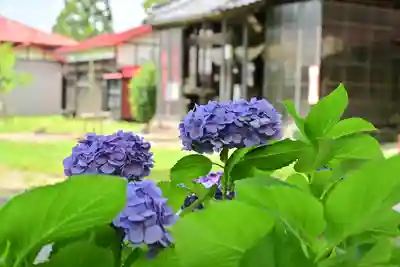 安禅寺(新潟県)