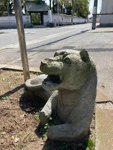 長田寺の狛犬