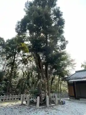 荒戸神社(滋賀県)