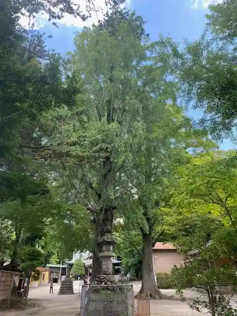 春日部八幡神社(埼玉県)