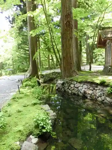宝積山光前寺の自然