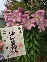 沙沙貴神社の御朱印