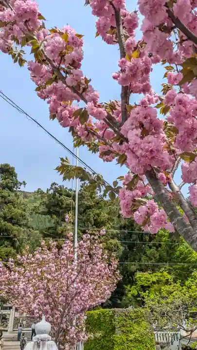 伊香具神社(滋賀県)