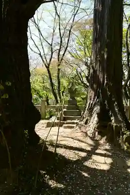 岡寺(龍蓋寺)(奈良県)