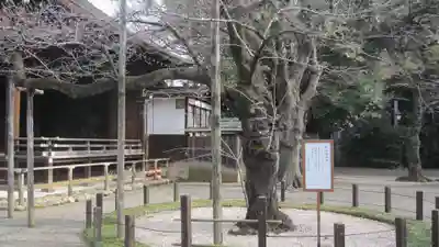 靖國神社(東京都)