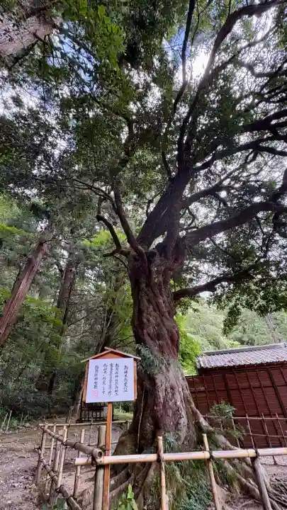 小國神社(静岡県)