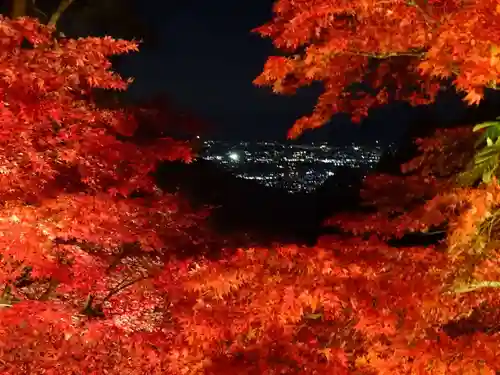 大山寺(神奈川県)