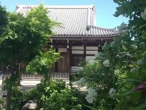 大雲寺の本殿