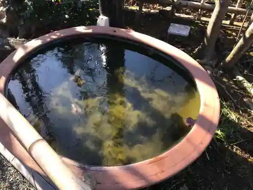 妙蓮寺のその他建物