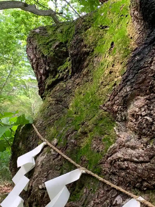 那須温泉神社の自然