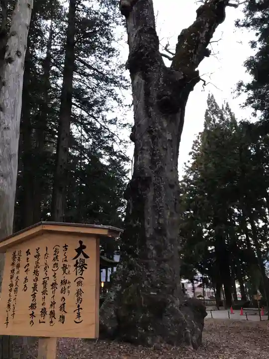 諏訪大社のその他建物