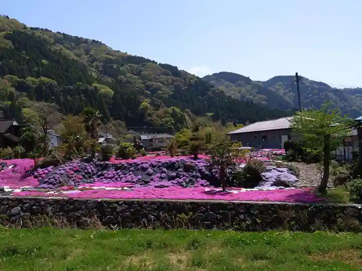 国造神社(熊本県)