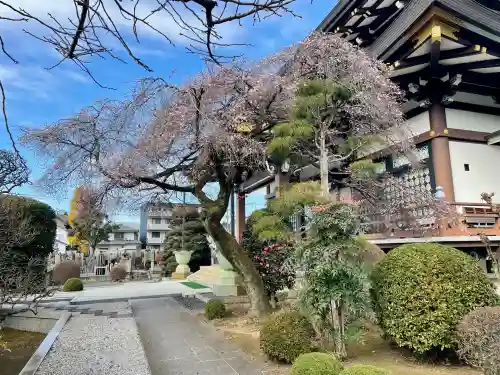 大義寺(東京都)