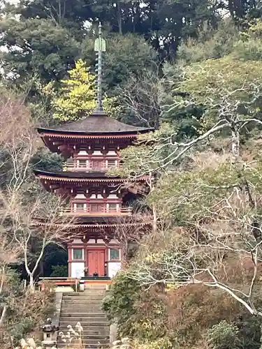 浄瑠璃寺(京都府)