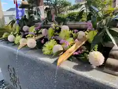 豊景神社の手水