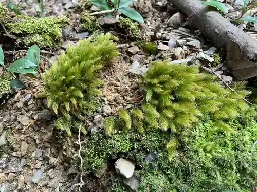 醍醐寺（上醍醐）(京都府)
