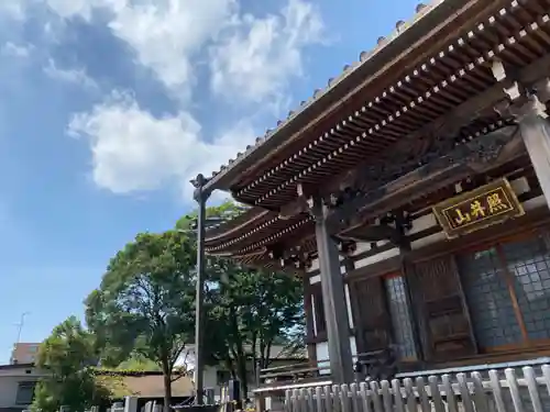 善応寺の本殿・本堂