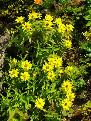 大鏑神社(福島県)