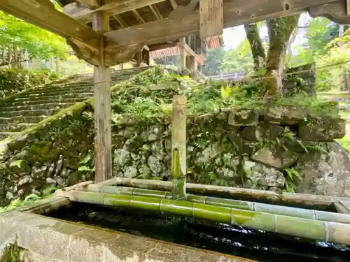 養父神社の手水舎