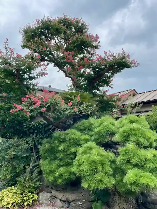 延台寺(神奈川県)