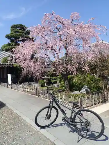 東京羽田 穴守稲荷神社の御朱印