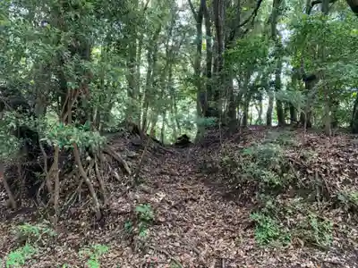 琴平神社の周辺
