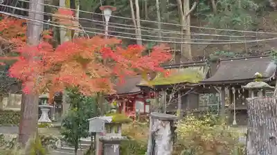 松尾大社の末社・摂社