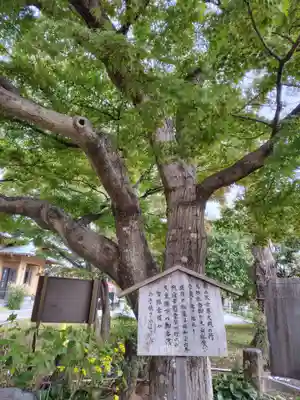 本行寺(埼玉県)