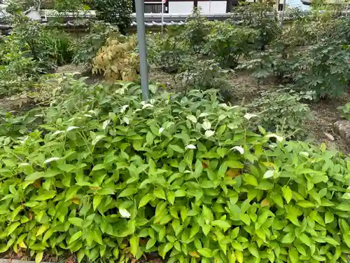 當麻寺 西南院(奈良県)
