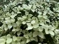 美奈宜神社(福岡県)