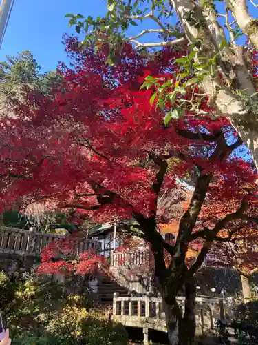 最乗寺（道了尊）(神奈川県)