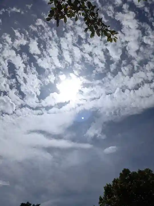 白山神社(二子町)の自然