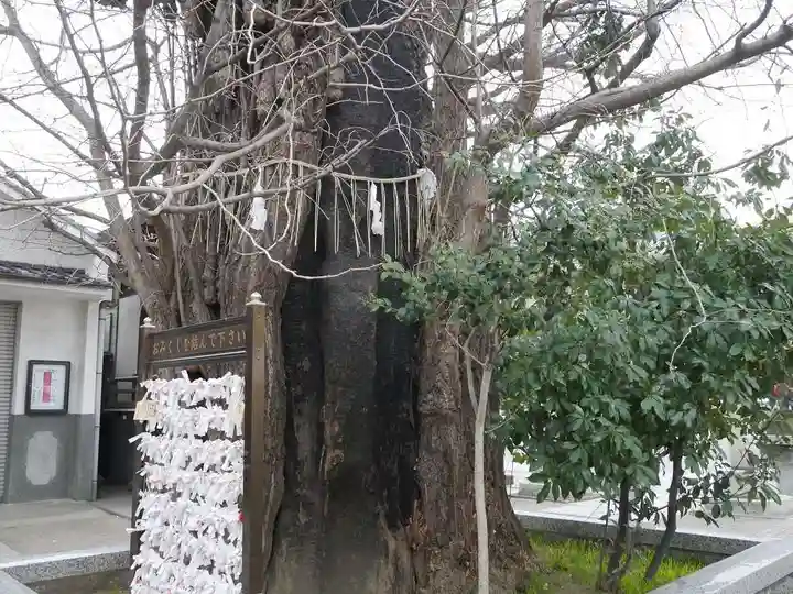 飛木稲荷神社の自然