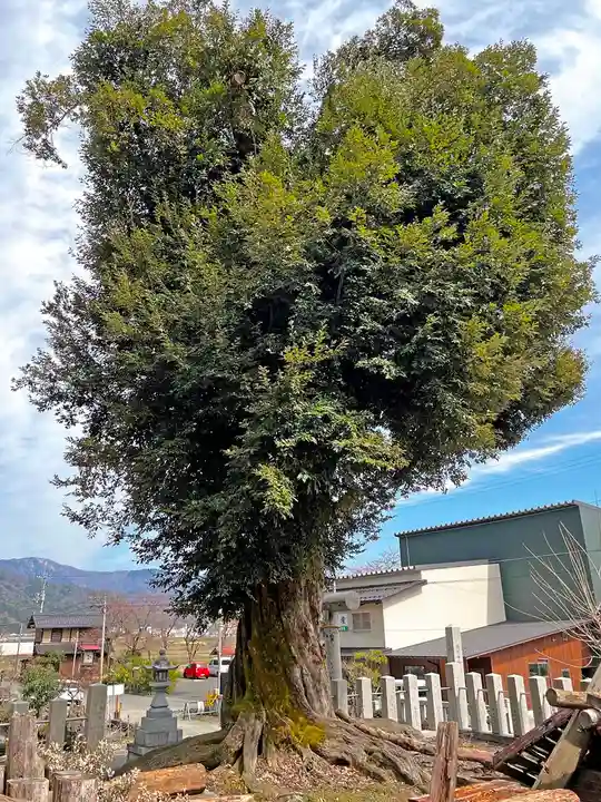 伊香具神社の自然
