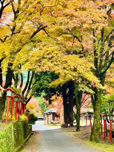満願寺の{uncategorized: "未分類", other: "その他", undefined: "問題あり", building: "その他建物", grave: "お墓", sacred_gate: "鳥居", guardian: "狛犬", statue: "像", buddha: "仏像", history: "歴史", nature: "自然", garden: "庭園", animal: "動物", pagoda: "塔", temizu: "手水舎", mountain_gate: "山門・神門", sanctuary: "本殿・本堂", subordinate: "末社・摂社", art: "芸術", scenery: "景色", jizo: "地蔵", ema: "絵馬", goshuin: "御朱印", omikuji: "おみくじ", items: "授与品その他", amulet: "お守り", goshuincho: "御朱印帳", eats: "食事", festival: "お祭り", votive_dance: "神楽", shichigosan: "七五三参", wedding: "結婚式", experience: "体験その他", initially: "初詣", around: "周辺", anti_infection: "感染症対策"}
