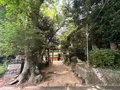 森神社(奈良県)