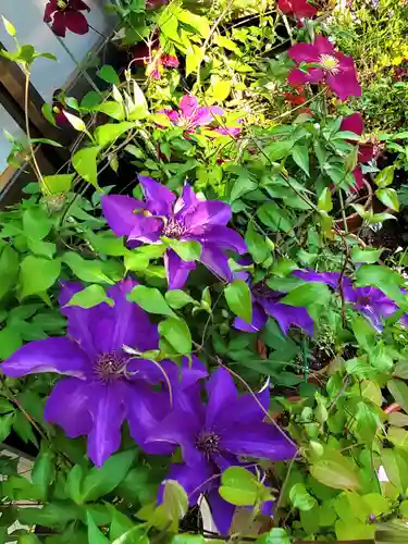 豊景神社(福島県)