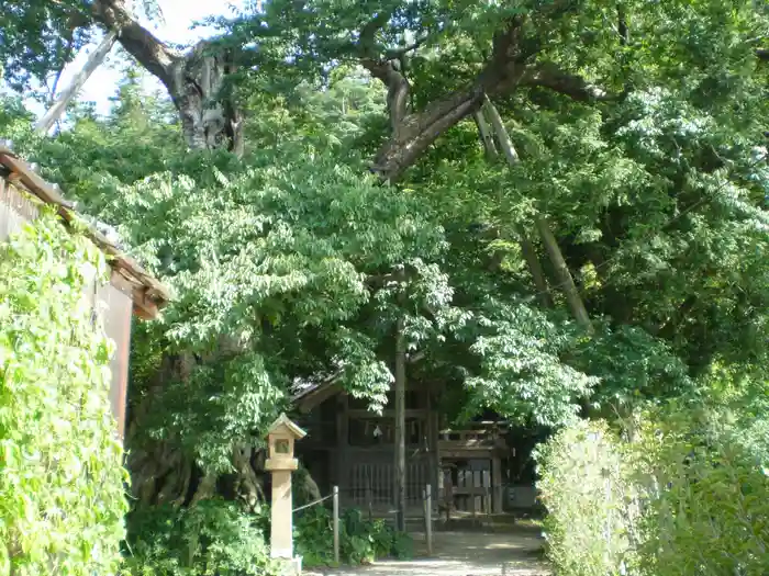 神魂伊能知奴志神社の建物その他