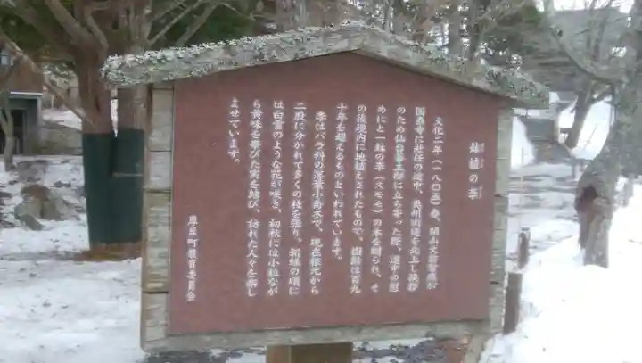 国泰寺の歴史