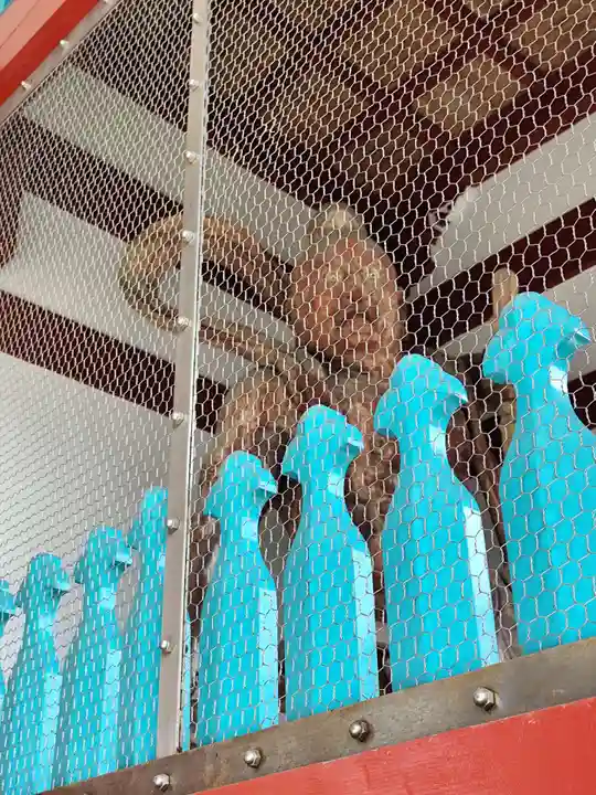 井戸寺(徳島県)