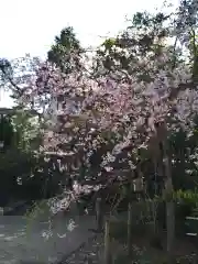 鳩森八幡神社(東京都)