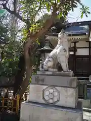 鳥越神社の狛犬