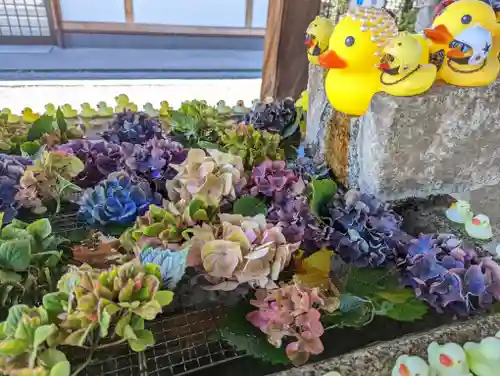 くろ谷 金戒光明寺(京都府)