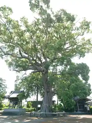 玉林寺のその他建物