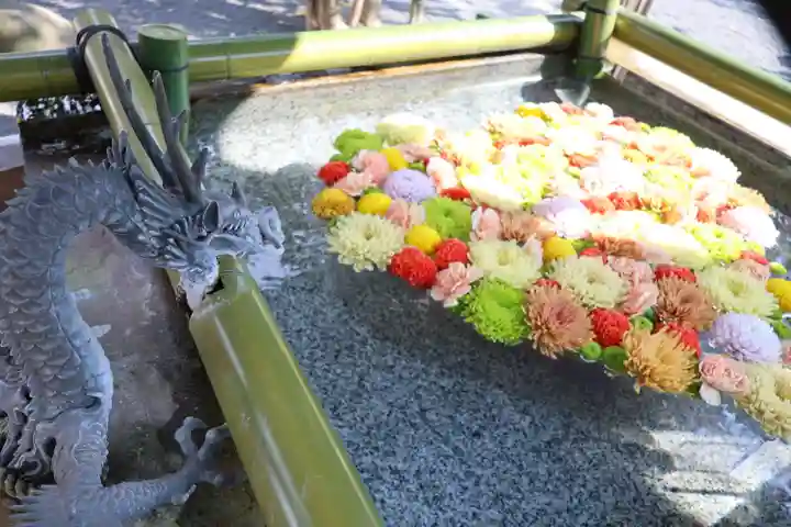 布施弁天 東海寺(千葉県)