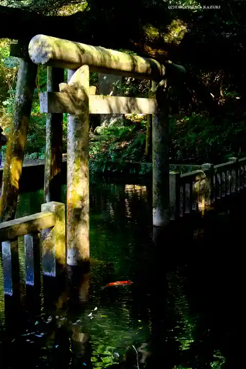 奥宮(鹿島神宮摂社)(茨城県)
