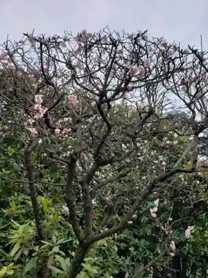 中野沼袋氷川神社(東京都)