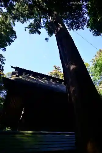 奥宮(鹿島神宮摂社)(茨城県)