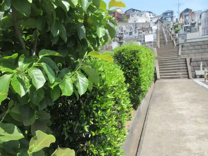 妙福寺(神奈川県)