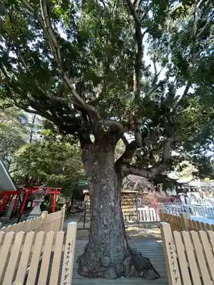 芦屋神社(兵庫県)